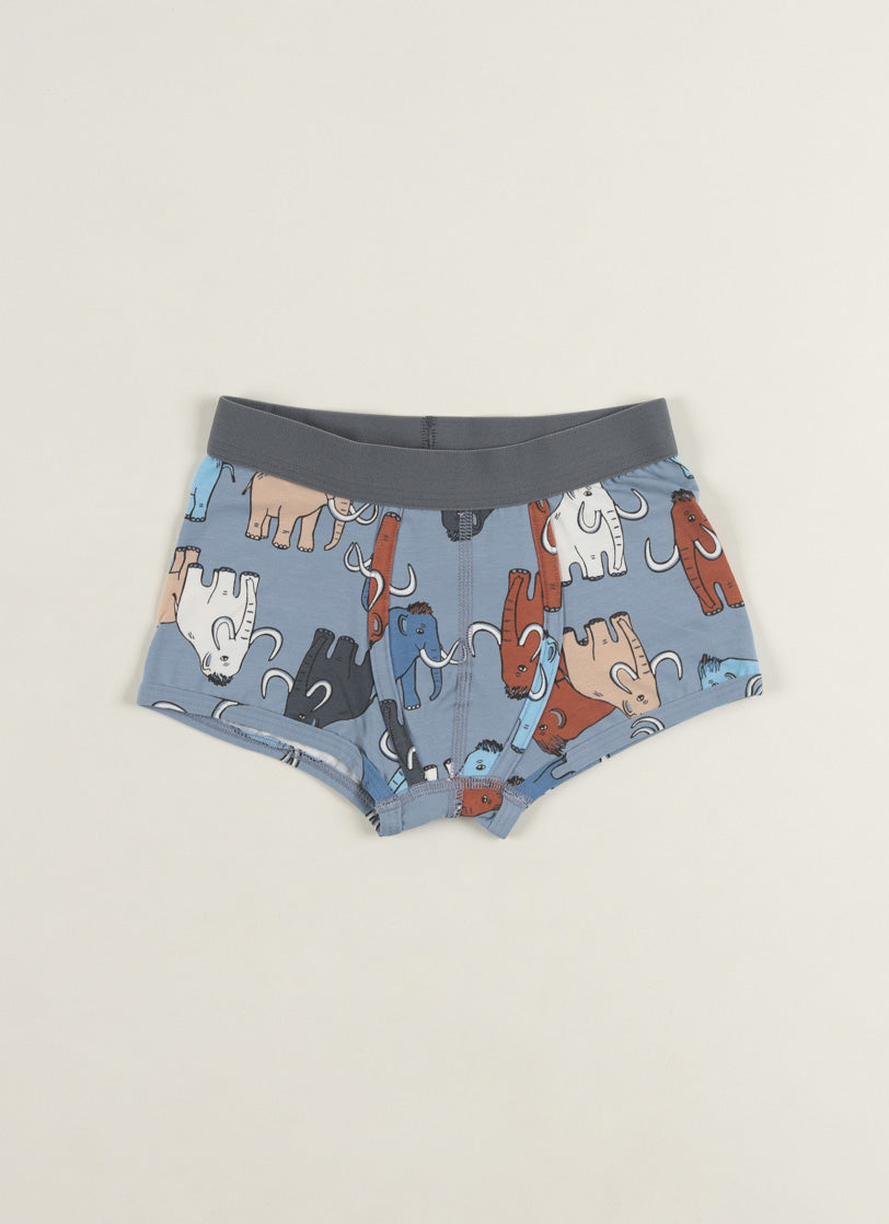 BOXER - FÍLAR